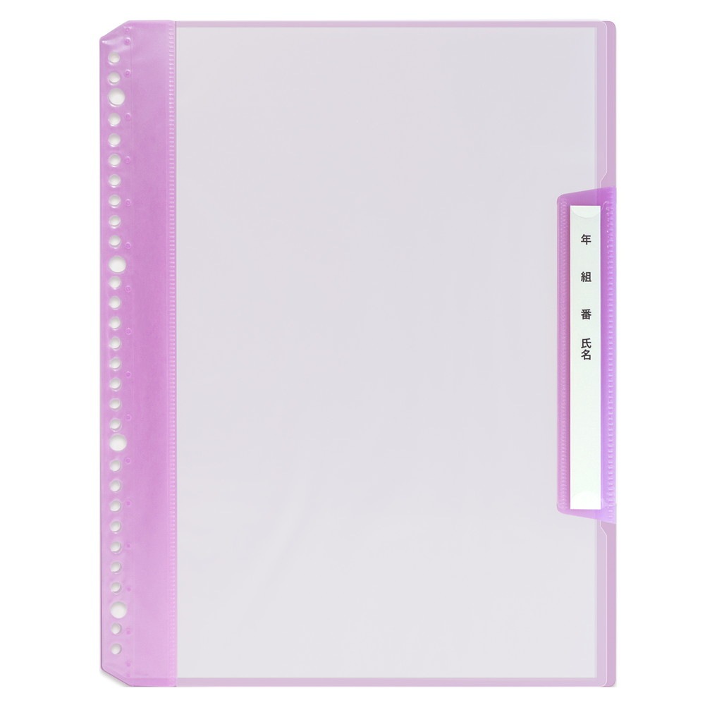 プラス(PLUS) 年組氏名リフィール式クリアファイル タテ入れ 6ポケット