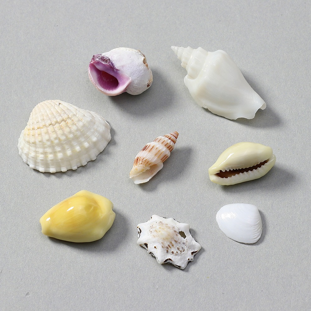 ２２　丸くてきれい　約２００個　ミックス貝細工　大きめです　 アンティーク・コラム | フランスアンティーク「aje antiques」