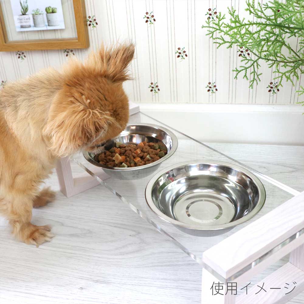 関家具 エサ皿 ライム ホワイト 330994