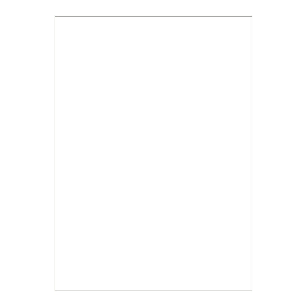 日本ノート　キョクトウ　カレッジアニマル学習帳　じゆうちょう　しまうま　LP70