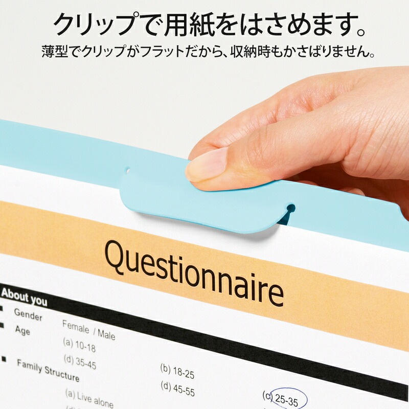 プラス(PLUS) カモフラージュ クリップ付ボードホルダー A4 ブルー FL