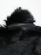 (ͽ���ʡ�9��10������ͽ��/D.HYGEN���ǥ����ϥ�����/���衼�ƥե������ȡ���/BLACK