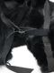 (ͽ���ʡ�9��10������ͽ��/D.HYGEN���ǥ����ϥ�����/���衼�ƥե������ȡ���/BLACK