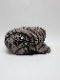 �㴰���nude:masahiko maruyama ���̡���:�ޥ��ҥ��ޥ���/Linen Viyella Pigmant Print CASQUETTE/Black-Beige