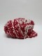 �㴰���nude:masahiko maruyama ���̡���:�ޥ��ҥ��ޥ���/Linen Viyella Pigmant Print CASQUETTE/Ecru-Red
