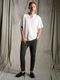 (ͽ���ʡ�2��3������ͽ��/wjk�����֥른��������/luxury cotton smart collar S/S/white