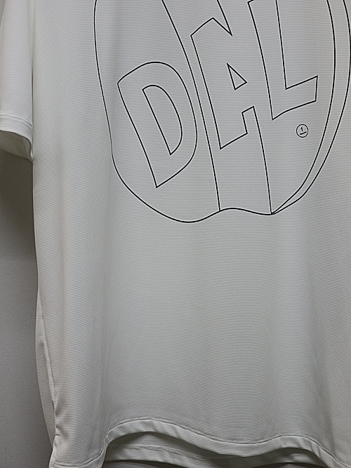 LAD MUSICIANå ߥ塼/DRY T-CLOTH pt BIG T DAL/WHITE.