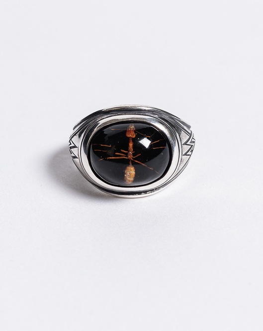 �㴰���The Viridi-anne���� ������ǥ�����/A Collaboration with MARS / Ant Ring/BLACK
