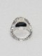 �㴰���The Viridi-anne���� ������ǥ�����/A Collaboration with MARS / Ant Ring/BLACK
