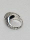 �㴰���The Viridi-anne���� ������ǥ�����/A Collaboration with MARS / Ant Ring/BLACK