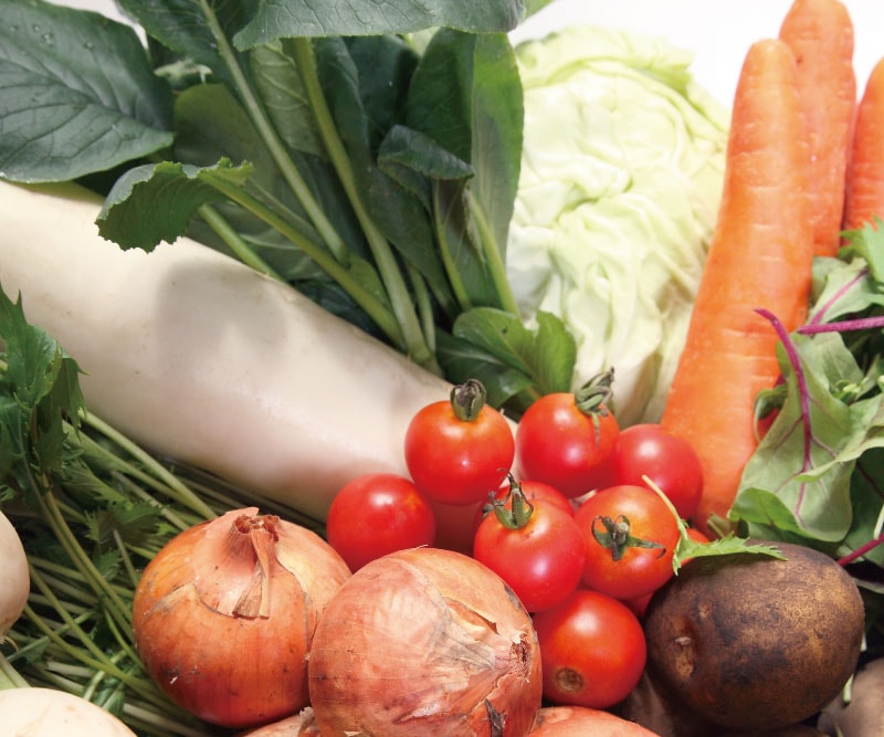 ����ν���ڥ��å�(���̺��ݡ�̵������̵����������