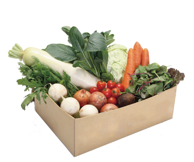 ����ν���ڥ��å�(���̺��ݡ�̵������̵����������