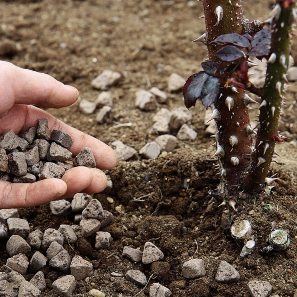 バイオゴールドセレクション薔薇（天然活性肥料） 追肥 | 天然