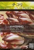 シード：チコリロッサディTV　西洋野菜の種　料理用|シード《ハーブ・西洋野菜の種子》