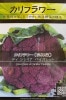 シード：カリフラワー（花椰菜）(ディ・シシリア・バイオレット)　西洋野菜の種　料理用|シード《ハーブ・西洋野菜の種子》