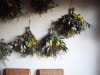 Botanical box _ Donation for Noto(令和6年能登半島地震被災者支援)