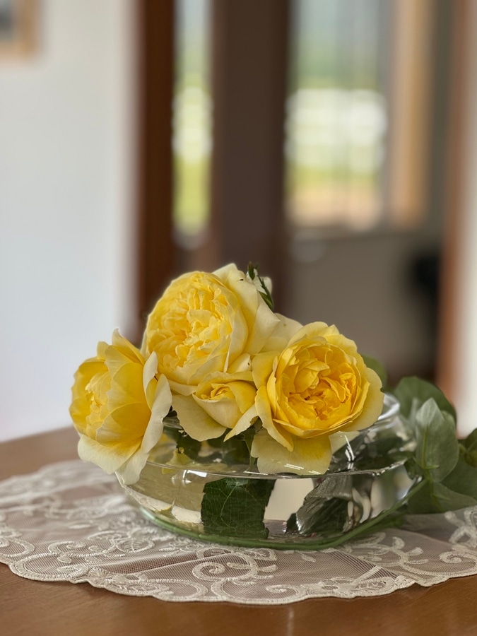 バラ苗 Roses,樹形や花色・花の大きさから選ぶ | バラとハーブの専門