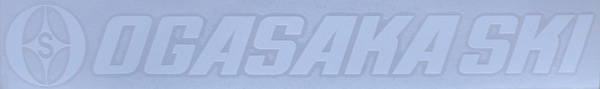 CS 420