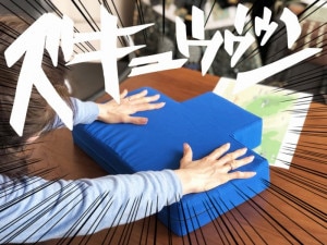 布陣図のあれクッション