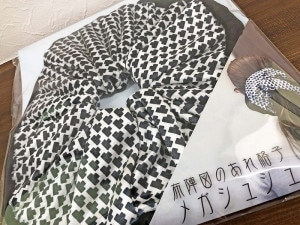 布陣図のあれ格子メガシュシュ