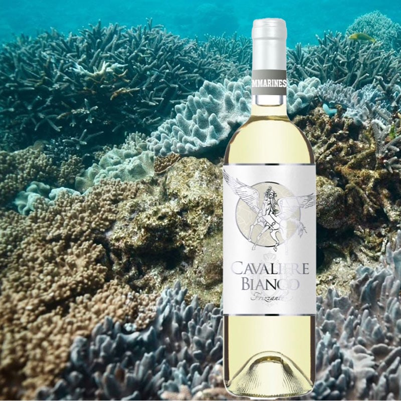 海の白騎士 CAVALIERE BIANCO<br>（予約販売・限定72本）