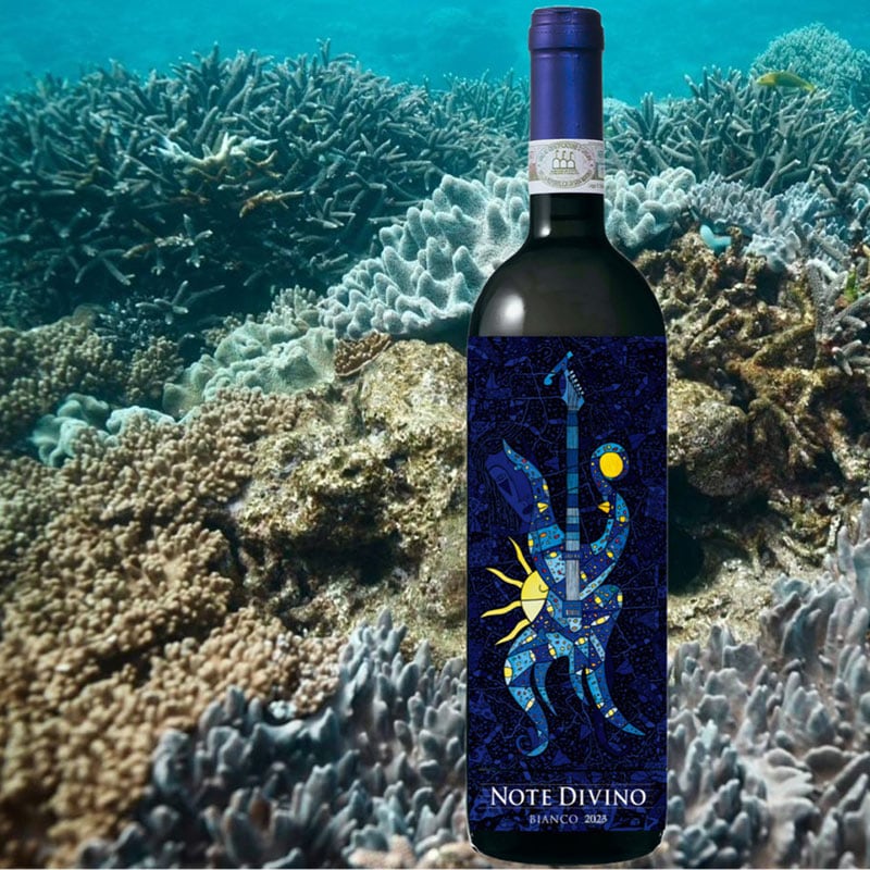 海のNOTE DIVINO BIANCO<br>（予約販売・限定72本）