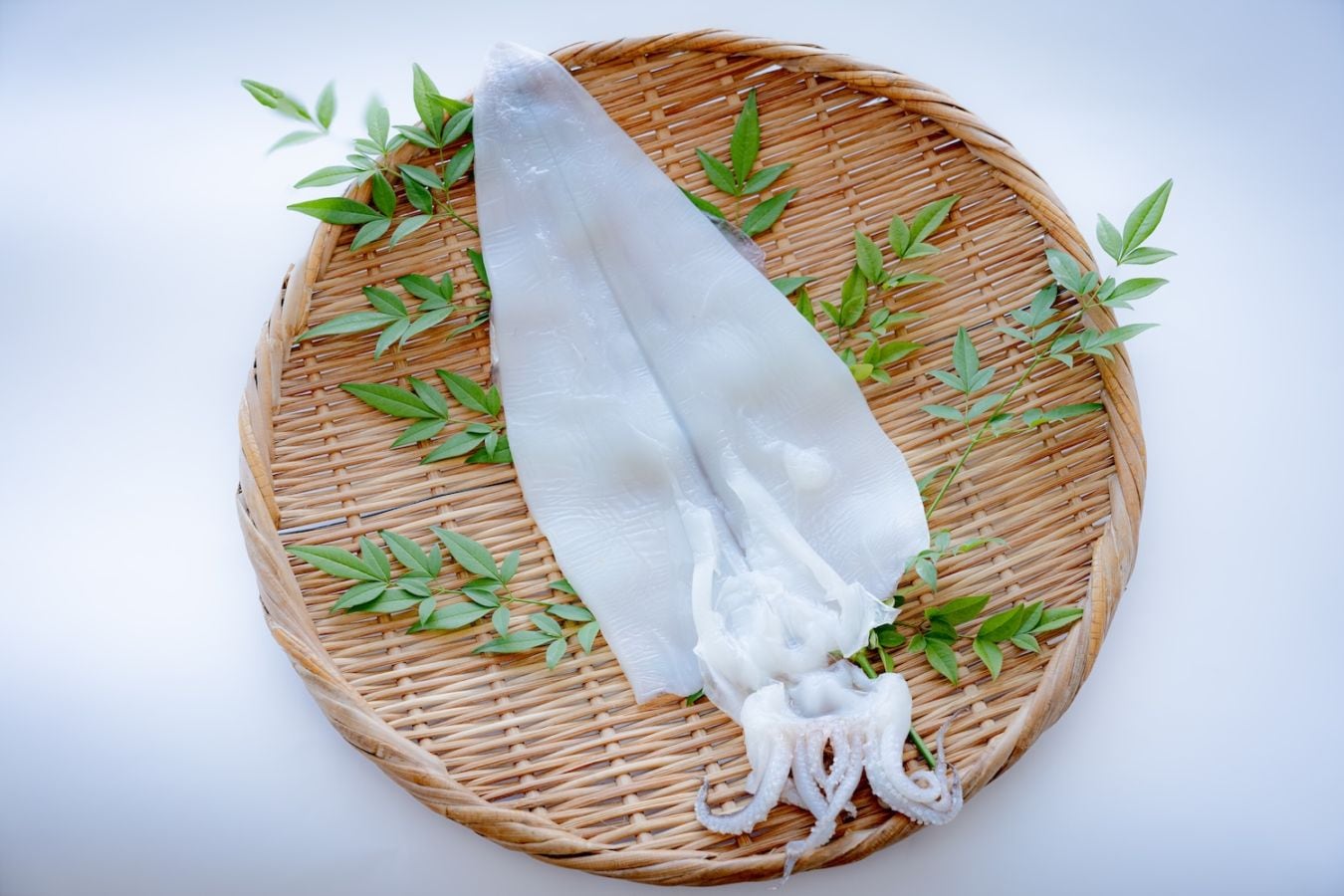 やりいか一夜干し