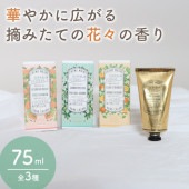 Panier des Sens パニエデサンス アブソリュート ハンドクリーム 75mL ハンドケア フローラル ローズゼラニウム ジャスミン オレンジブロッサム ホワイトブーケ グリセリン配合 保湿