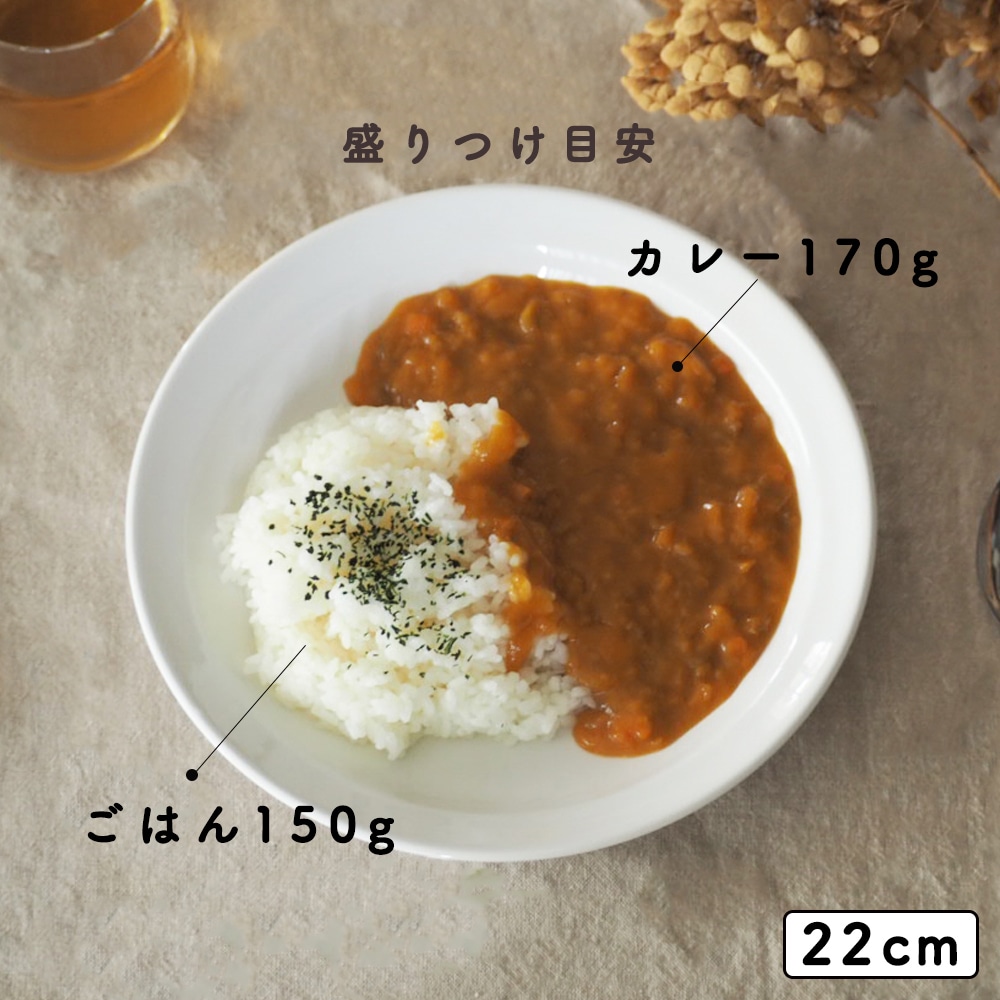 強化磁器【22cm 深皿】