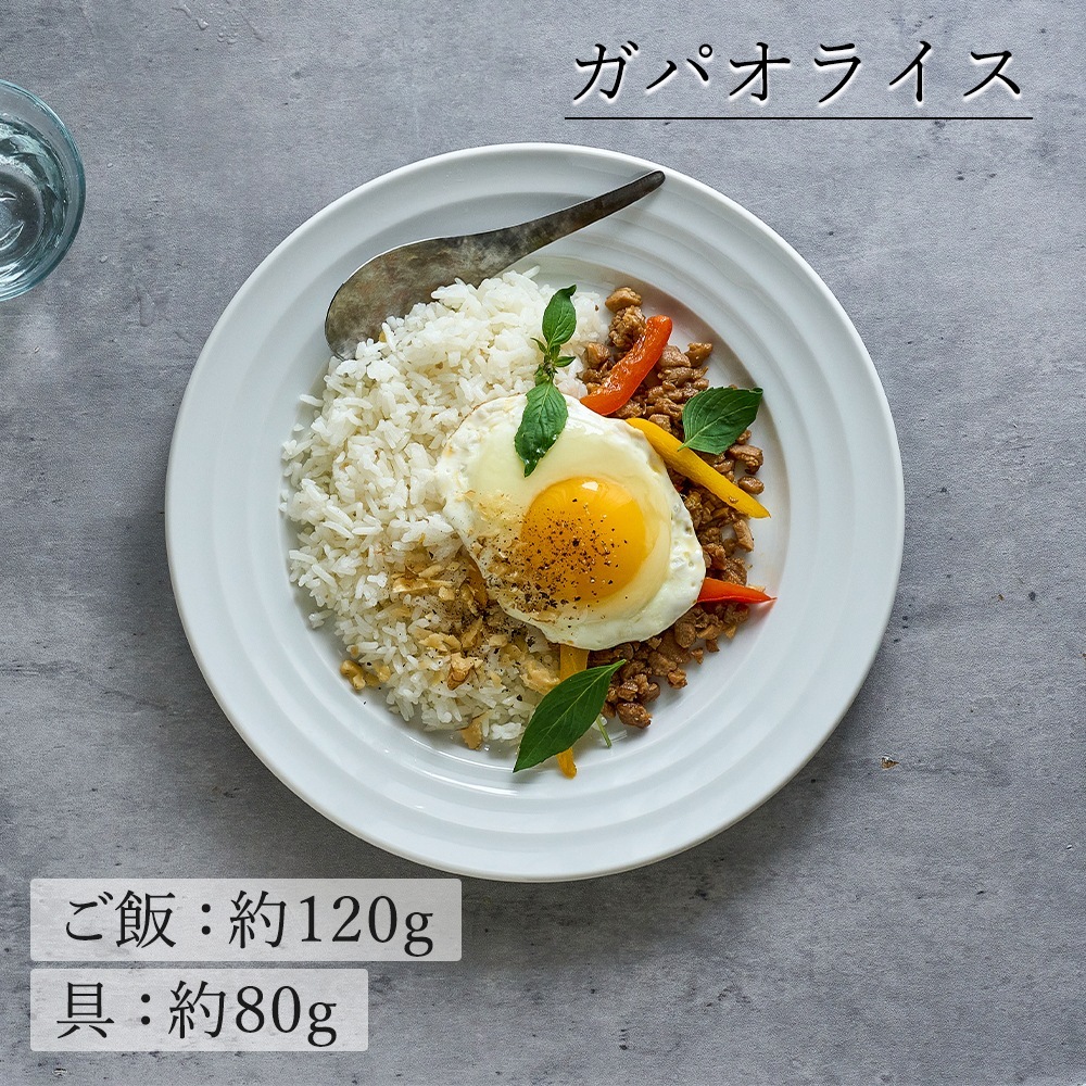 【YAMATSU STANDARD】24cm 中皿 ミート皿 ワンプレート カレー パスタ シンプル 丸皿 プレート 皿 白 黒 ホワイト ブラック おしゃれ 収納 カフェ食器 シンプル 美濃焼 磁器 ポーセラーツ BPAフリー ギフト 業務用 軽い 日本製