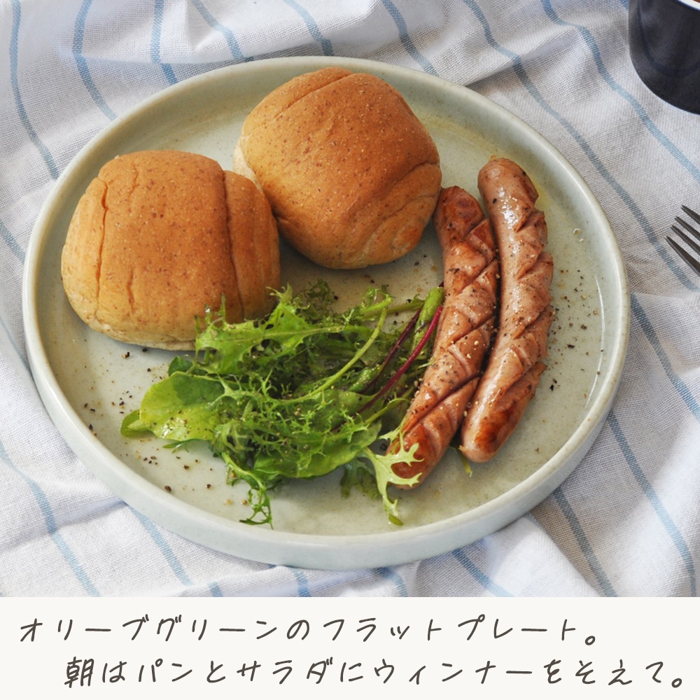 【21cm フラットプレート】