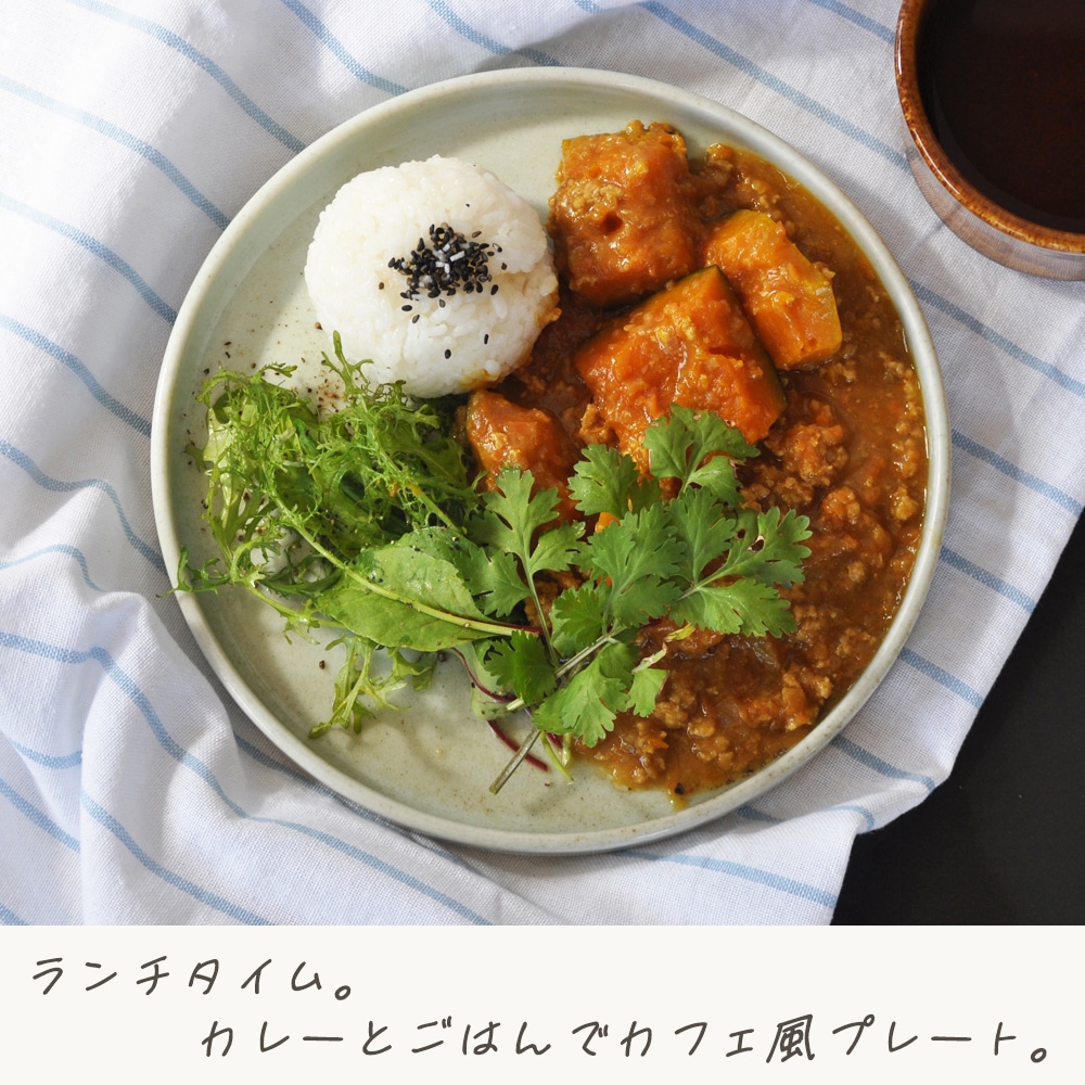 【21cm フラットプレート】