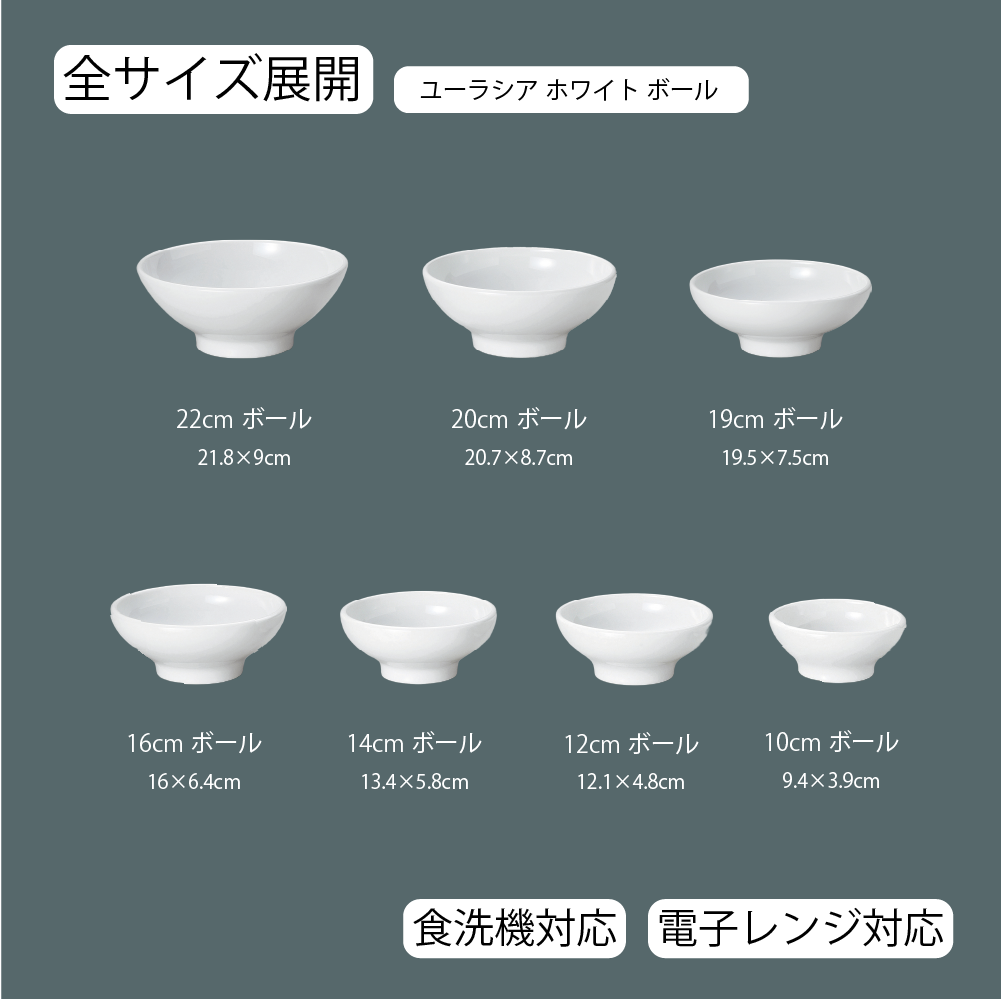 【YAMATSU STANDARD】【 ユーラシア ボール ホワイト 】 22cm 20cm 19cm 16cm 14cm 12cm 10cm ボール