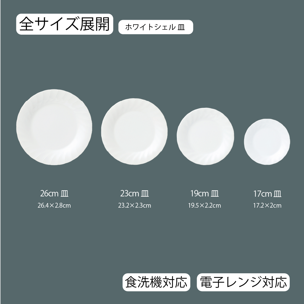 【YAMATSU STANDARD】【 ホワイトシェル 丸皿 ホワイト 】 26cm 23cm 19cm 17cm 皿