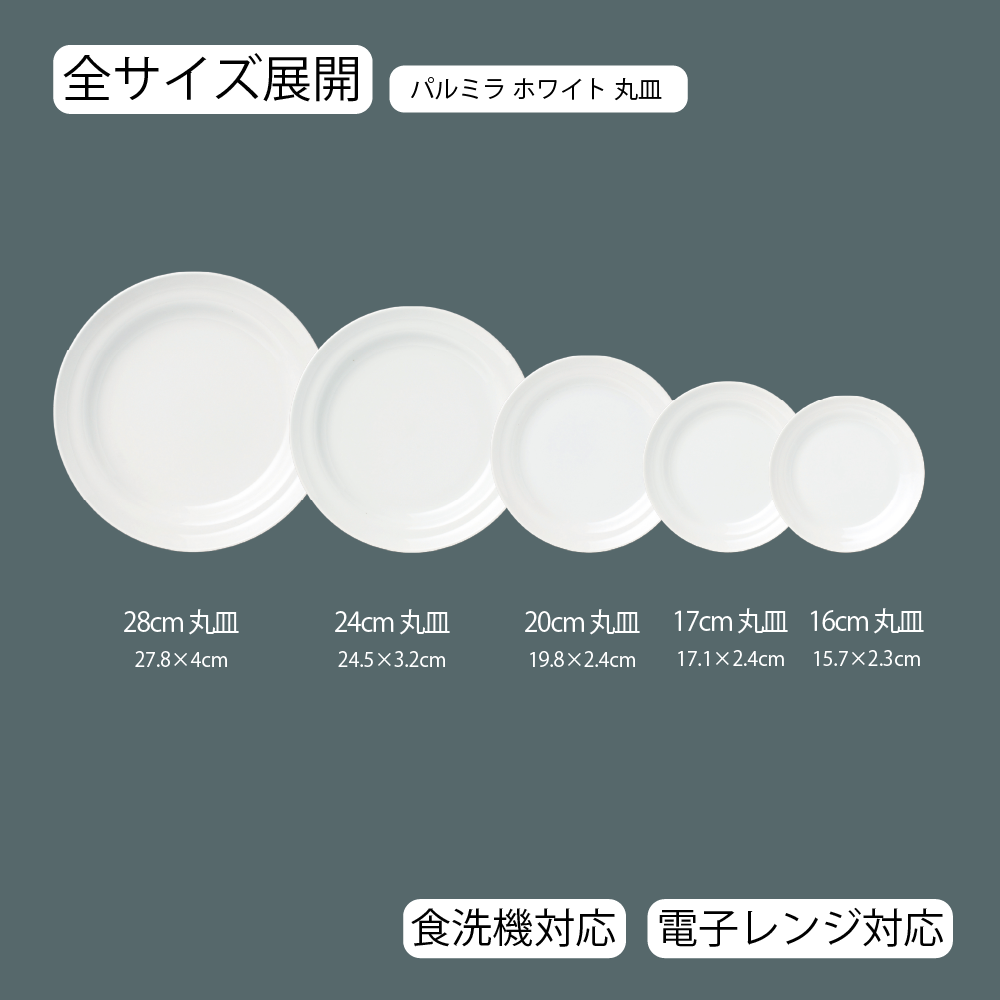 【YAMATSU STANDARD】【 パルミラ 丸皿 ホワイト 】 28cm 24cm 20cm 17cm 16cm 丸皿