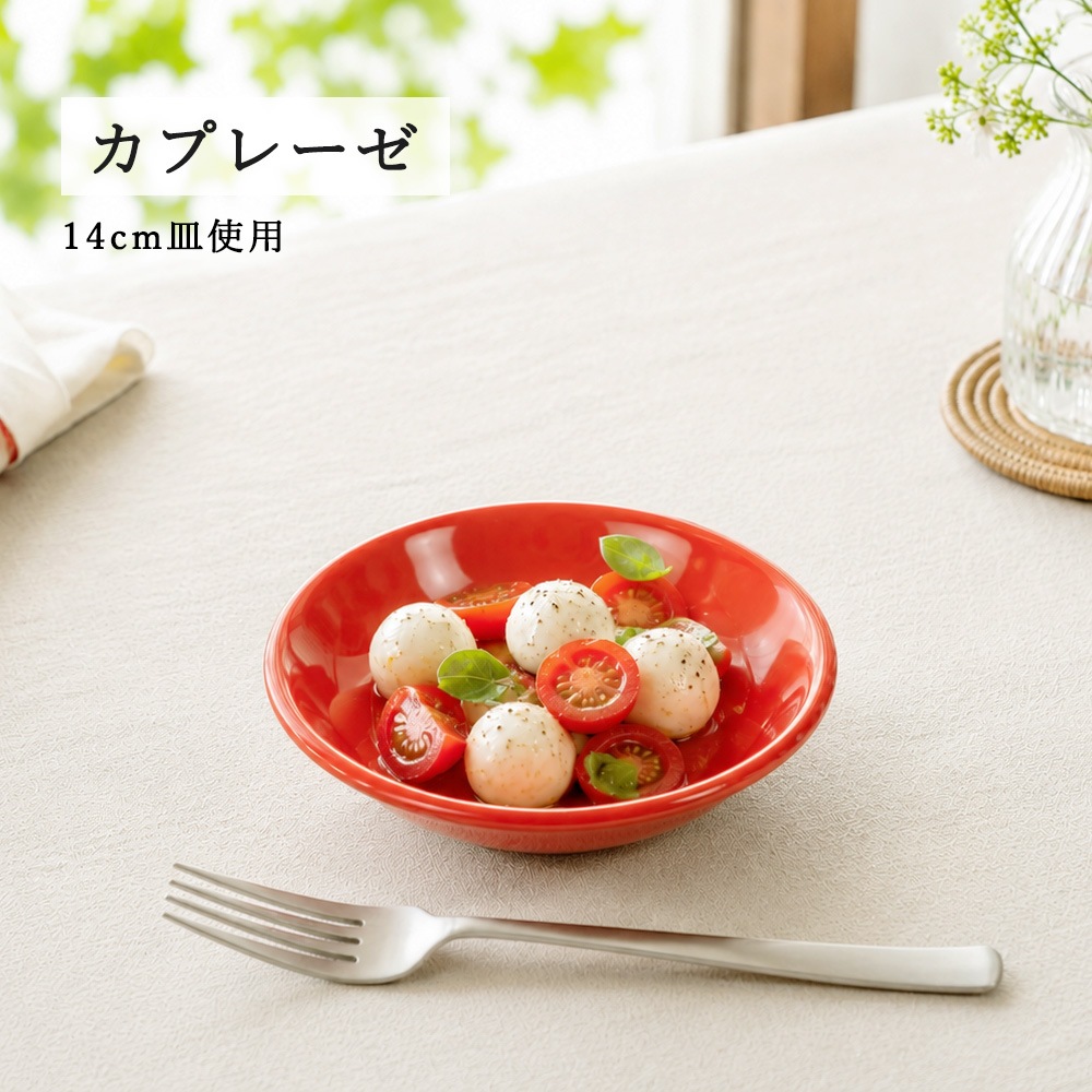 【YAMATSU STANDARD】【 ユーラシア 深皿 レッド 】 24cm 21cm 14cm 13cm 11cm 10cm 深皿