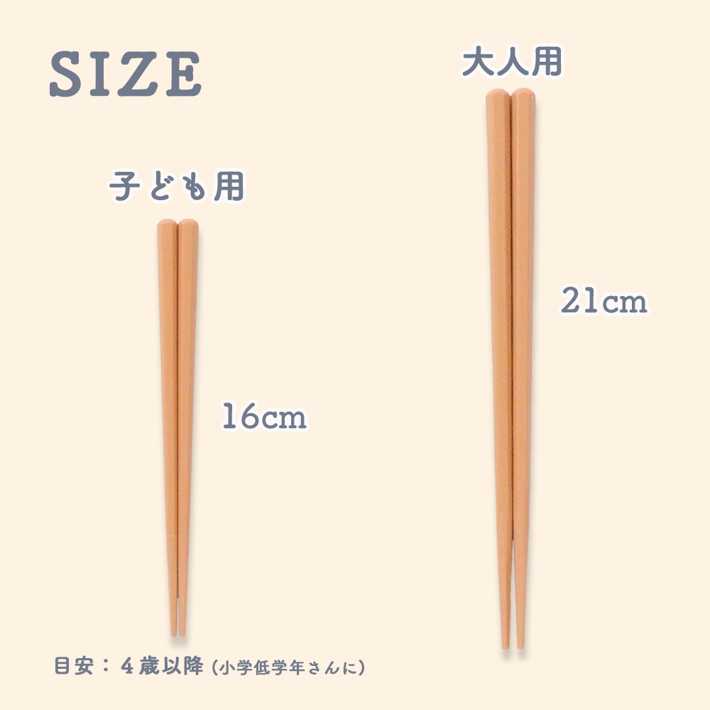【４点セット】「仕切り皿」と「お箸」