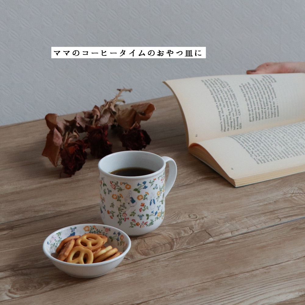 ★数量限定 お得なアウトレット品★ ピーターラビット TM 小皿