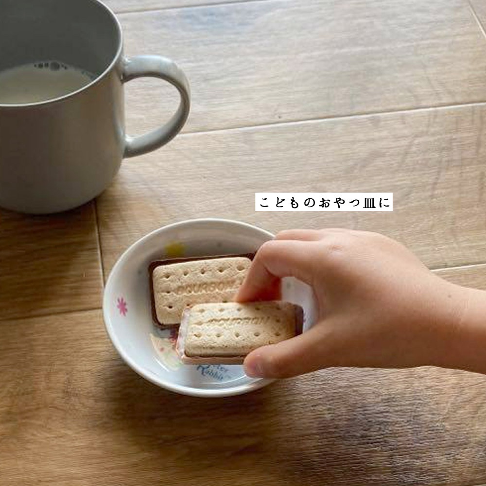 ★数量限定 お得なアウトレット品★ ピーターラビット TM 小皿