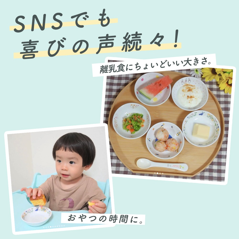 ★数量限定 お得なアウトレット品★ ピーターラビット TM 小皿