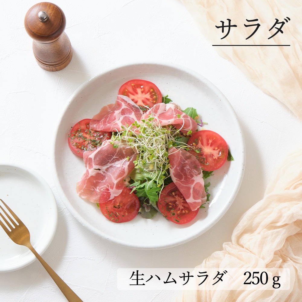 【YAMATSU STANDARD】24cm 中皿 ミート皿 ワンプレート カレー パスタ サラダ 丸皿 プレート 皿 白 黒 青 ホワイト ブラック ライトブルー おしゃれ 収納 カフェ食器 シンプル 美濃焼 磁器 ポーセラーツ BPAフリー ギフト 業務用 軽い 日本製