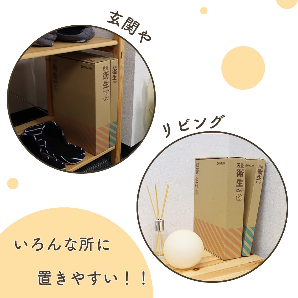 災害時も安心、衛生アイテム10点《災害衛生セット 女性用》防災セット 女性用 非常用持ち出し 災害対策 避難生活 清潔 地震対策 安心 ドライシャンプー 歯磨きシート 携帯用 からだ拭き 簡易トイレ フェイスタオル 不織布スリッパ 個包装 マスク ナプキン