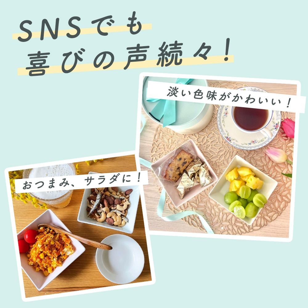 強化磁器 【11cm】スクエアプレート