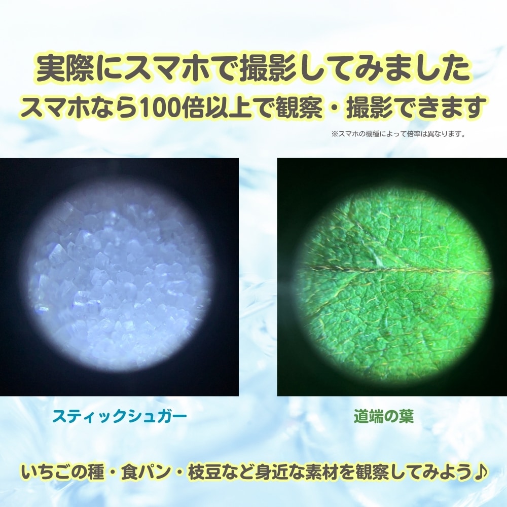 本格的なミクロの世界を体験できる！《ハンディ顕微鏡petit》持ち運び ポータブル コンパクト 携帯用 拡大観察 20倍拡大 スマホ撮影対応 観察 夏休み 冬休み 自由研究 子供用 小学生 中学生 高校生 理科 科学玩具 UVライト機能 簡単操作 進学祝い
