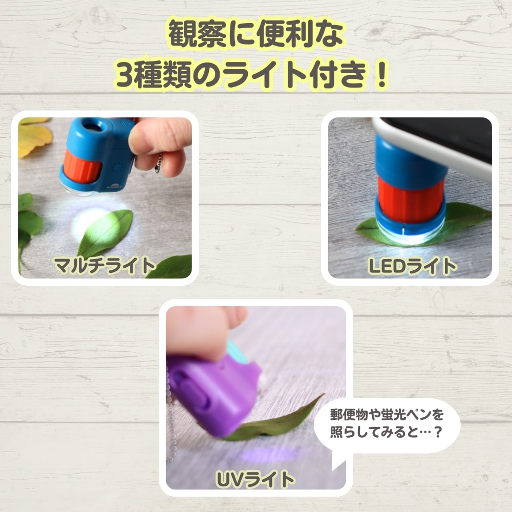 本格的なミクロの世界を体験できる！《ハンディ顕微鏡petit》持ち運び ポータブル コンパクト 携帯用 拡大観察 20倍拡大 スマホ撮影対応 観察 夏休み 冬休み 自由研究 子供用 小学生 中学生 高校生 理科 科学玩具 UVライト機能 簡単操作 進学祝い