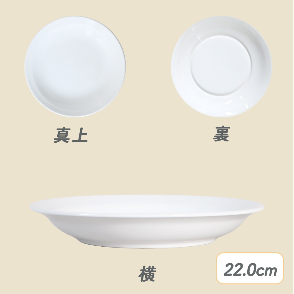 ★数量限定 お得なアウトレット品★ リム付き皿・深皿　強化磁器 選べる2サイズ