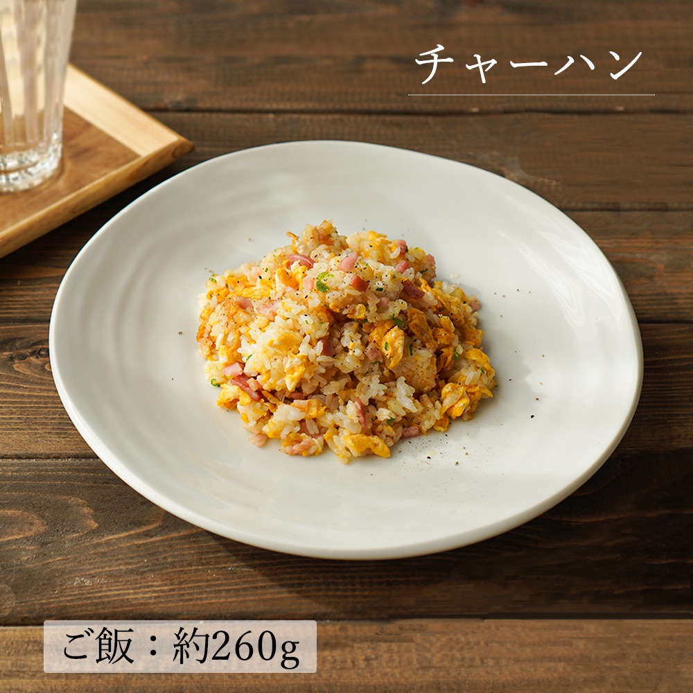 【YAMATSU STANDARD】28cm 大皿 メイン皿 ディナー皿 丸皿 プレート 皿 白 黒 ホワイト ブラック おしゃれ 収納 カフェ食器 シンプル 美濃焼 磁器 ポーセラーツ BPAフリー ギフト 業務用 軽い 日本製