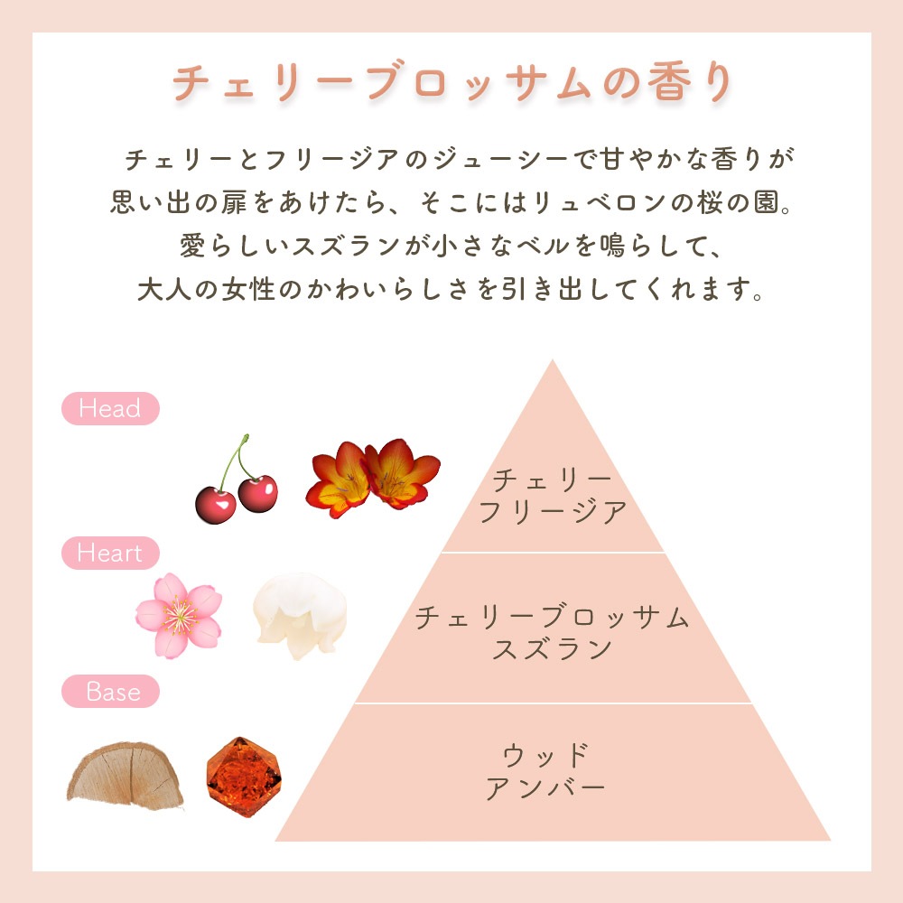 半額】L'OCCITANE チェリーブロッサム シャワージェル LOCCITANE
