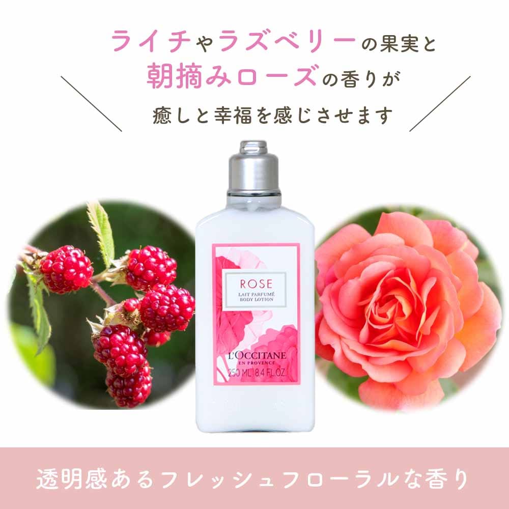 L’OCCITANE ローズ ボディミルク 250ml ボディケア ギフト プレゼント シアバター ラズベリーローズ うるおい シア脂 フローラルローズ 保湿 バスケア バス用品 定番 LOCCITANE laccitane ロクシタン ダマスクローズ 朝摘みローズ ごほうび しっとり 保湿成分