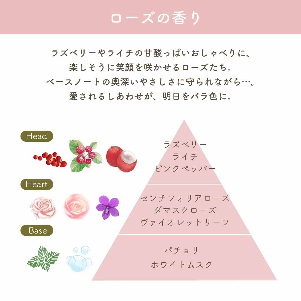 L’OCCITANE ローズ ボディミルク 250ml ボディケア ギフト プレゼント シアバター ラズベリーローズ うるおい シア脂 フローラルローズ 保湿 バスケア バス用品 定番 LOCCITANE laccitane ロクシタン ダマスクローズ 朝摘みローズ ごほうび しっとり 保湿成分